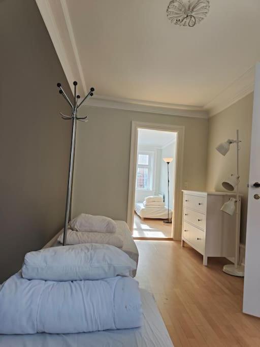 Glarmester I Lejlighed *